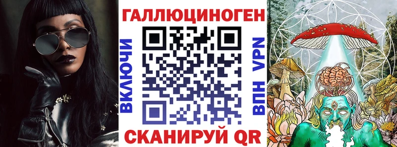 Галлюциногенные грибы Psilocybine cubensis  что такое   Красный Кут 